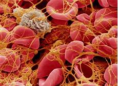 Medical Additives
