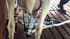 Milking Machine