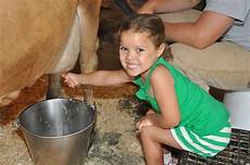 Milking