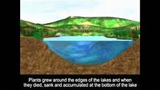 Natural Peat