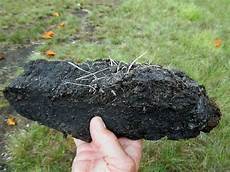 Netralised Peat