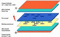 Nitrocellulose System