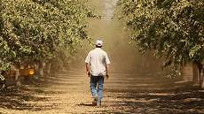 Orchard Tractors