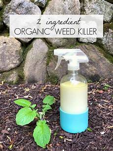 Organic Brands