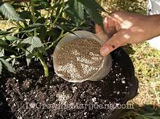 Organic Fertilizer