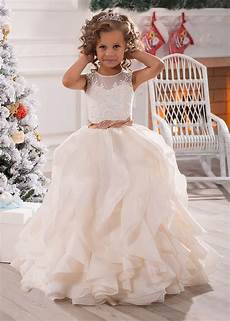 Organza Fabric