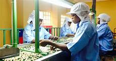 Packaging Machines
