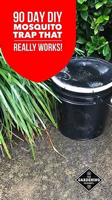 Paint Bucket