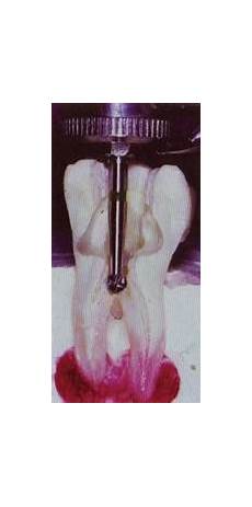 Paraformaldehyde