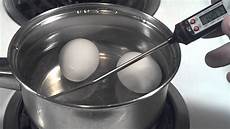 Pasteurized Egg