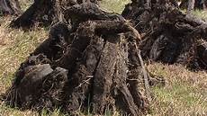 Peat Fuel