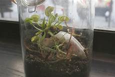 Peat