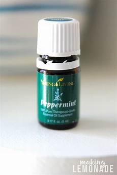 Peppermint Lemonade