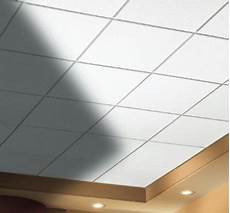Perlite Plaster