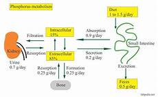 Phosphate Chemical