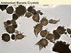 Phosphate Chemical