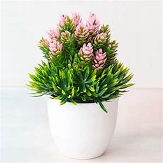 Plant Prod