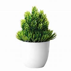 Plant Prod