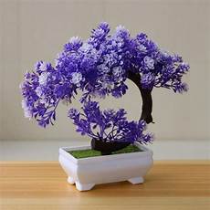 Plant Prod