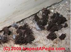 Plywood Molds