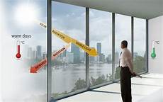 Polymer Window