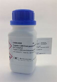 Powder Detergents