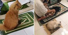 Pray Mat