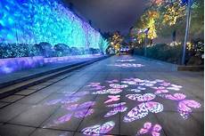 Projector Curtain