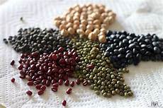 Pulses Grains