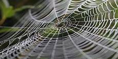 Radial