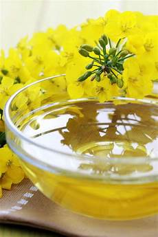 Rapeseed Oil