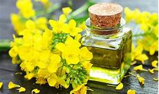 Rapeseed Oil