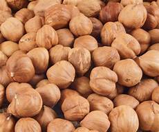 Raw Hazelnut