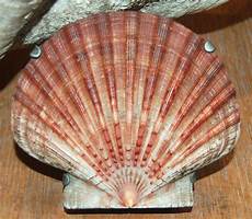 Roofing System