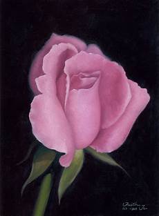 Rose Oil