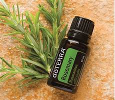 Rosemary Oils
