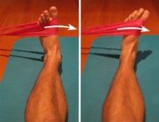 Tendon Bands