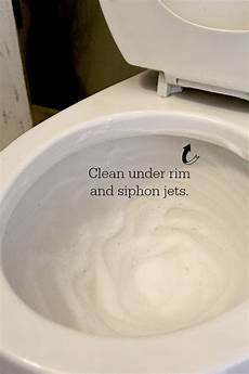 Toilet Brush