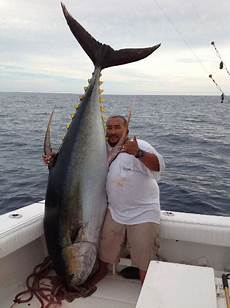 Tuna