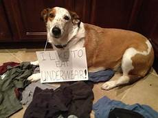 Underwear