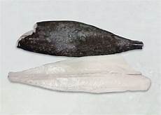 V-Cut Fillet