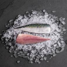 V-Cut Fillet