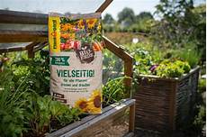 Vegetable Peats
