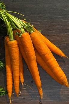 Vegetable