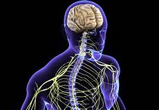 Vertebroplasty System